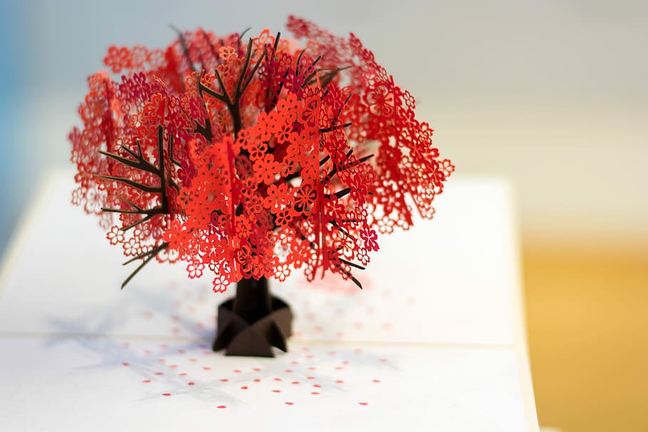 red flowers on white surface, miniature red tree, plant, paper HD wallpaper