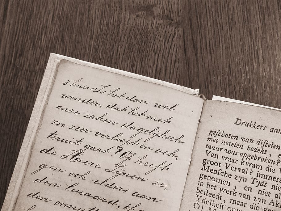 book, read, library, booklet, paper, parchment, fount, book read HD wallpaper