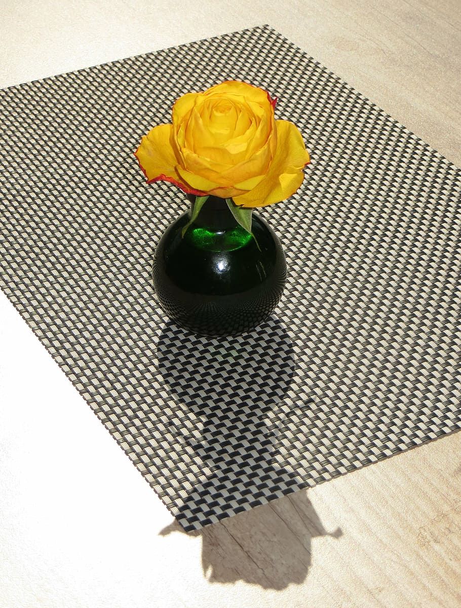 decor, vase, shadow, flower, rose, table, high angle view, flowering plant HD wallpaper