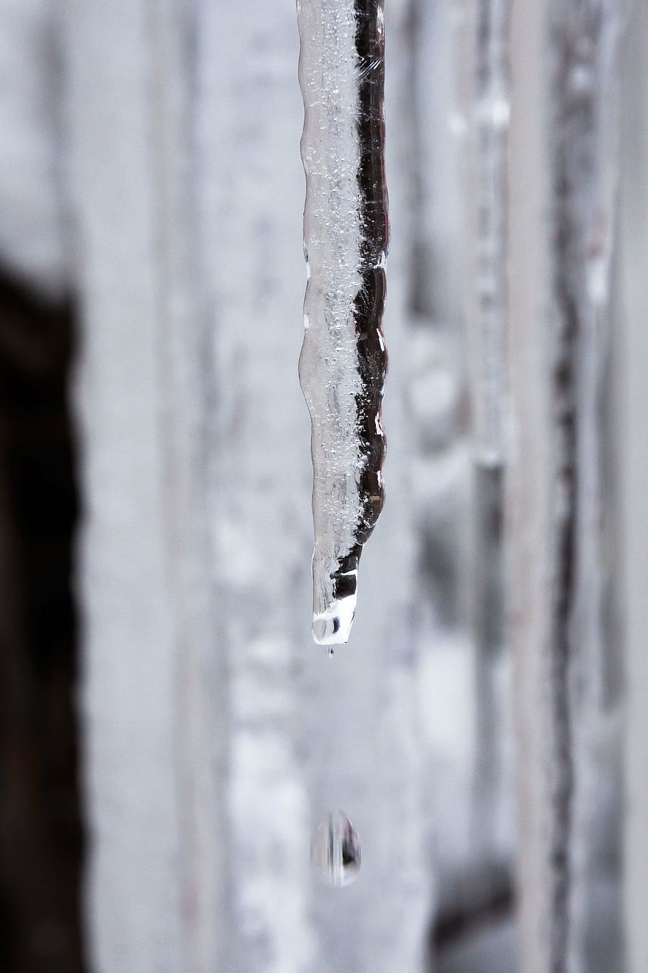 ice, icicle, drip, defrost, cold, winter, white, snow, frozen HD wallpaper