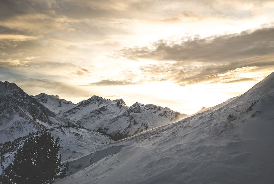snow, winter, cold, sky, clouds, sunset, sunrise, tree, plant HD wallpaper