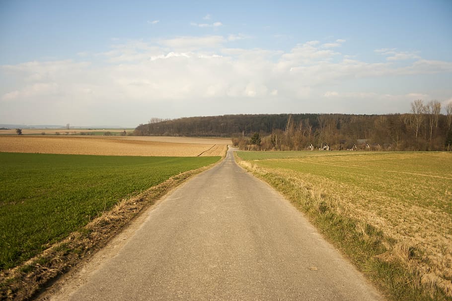 arable, fields, lane, away, path, landscape, environment, nature HD wallpaper
