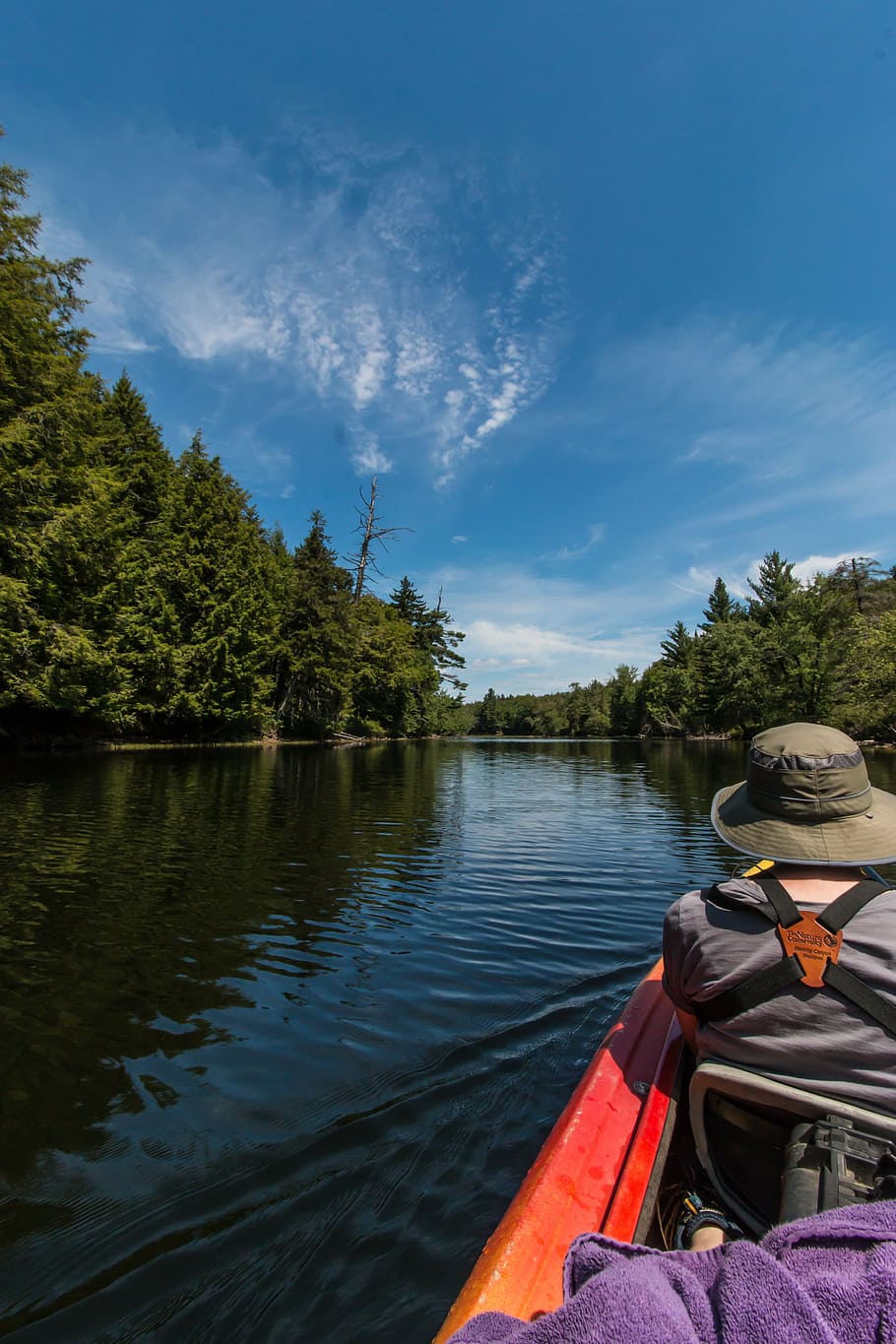 kayak, river, nature, water, tree, plant, real people, mode of transportation HD wallpaper