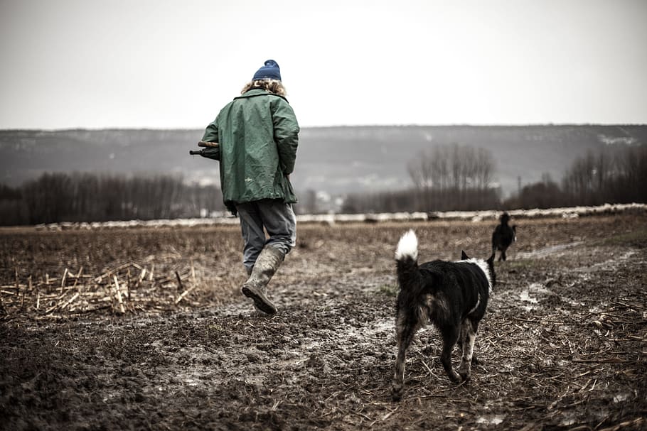 man walking on brown soil near black dog at daytime, shepherd, HD wallpaper