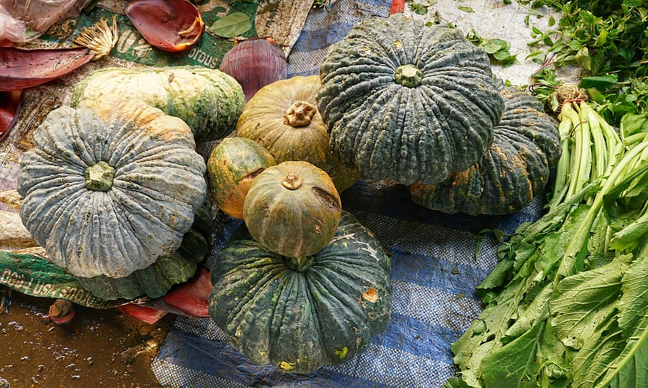 pumpkin, large, market, vegetable, garden, food, fall, agriculture HD wallpaper