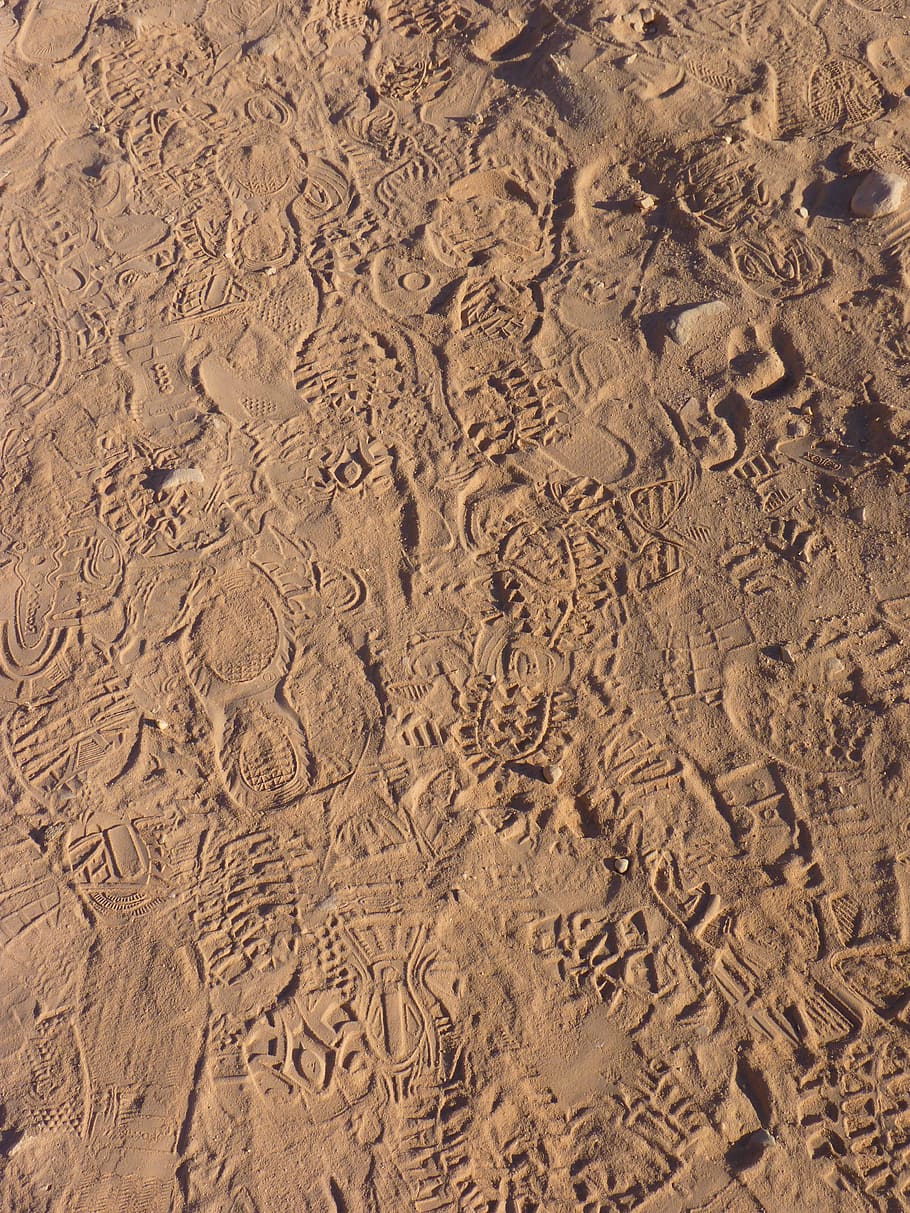 Trace, Sand, Reprint, traces, occurs, track, footprint, desert HD wallpaper