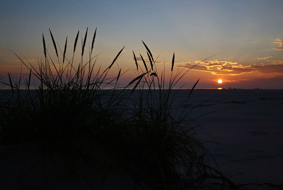 sunset, sea, wadden sea, amrum, evening, abendstimmung, beach, HD wallpaper