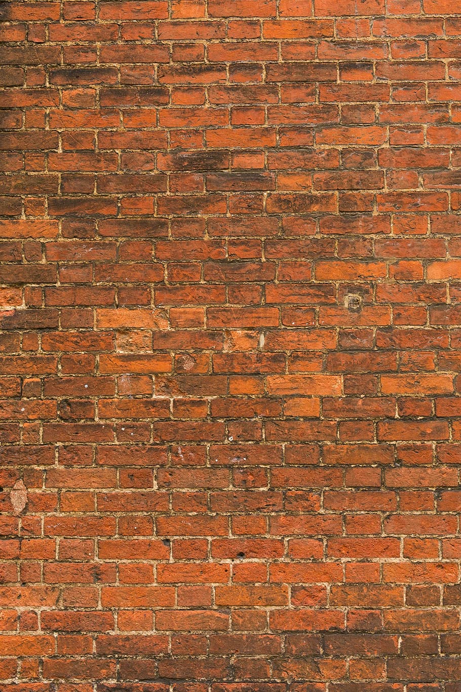 brown bricks wall, intact brown brick wall, texture, pattern HD wallpaper