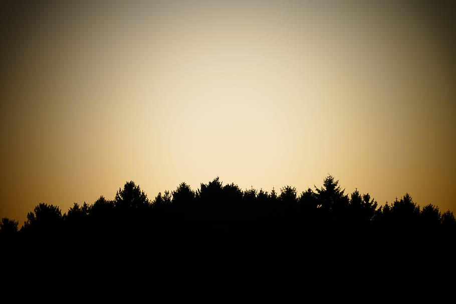 sunset, moon, dawn, silhouette, sky, dusk, tree, tranquility HD wallpaper