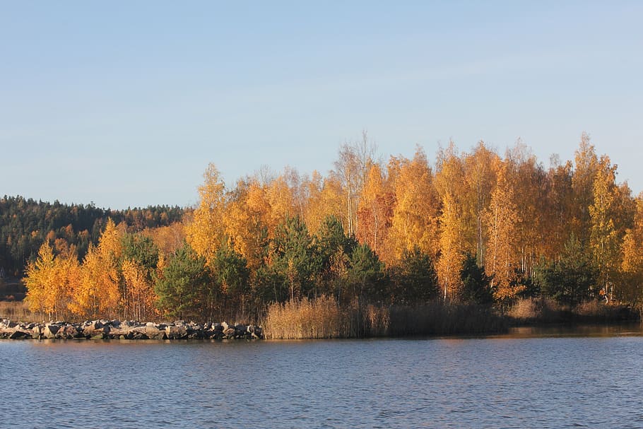 sea, autumn, finnish, landscape, nature, tree, sky, archipelago, HD wallpaper