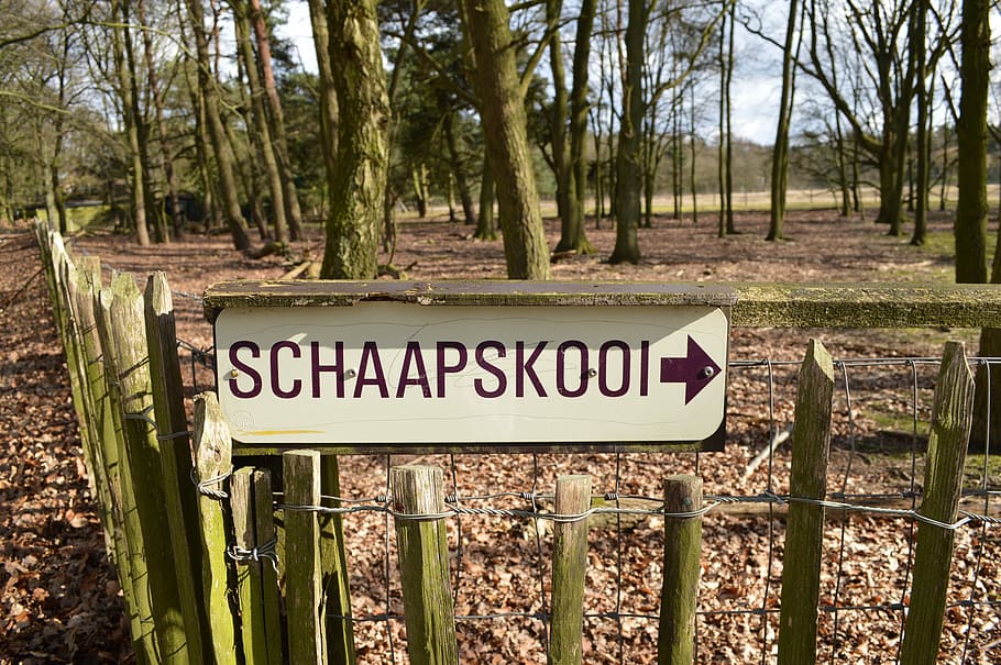 Sign, Forest, Nature, Parks, Tree, trees, branches, landscape HD wallpaper