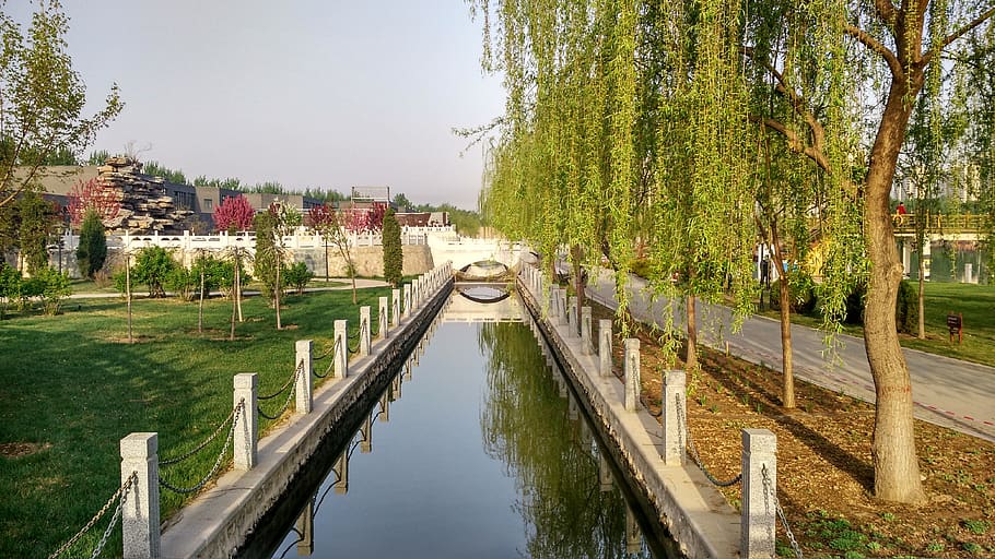 river, tree, water, plant, architecture, reflection, built structure HD wallpaper