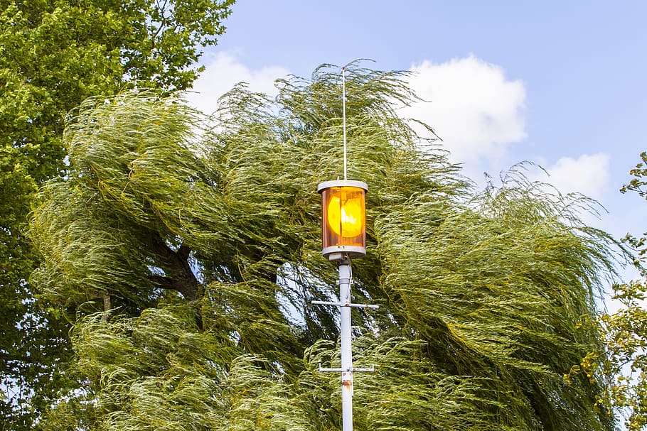 sturmwarnung, flashing light, forward, warning, plant, tree HD wallpaper