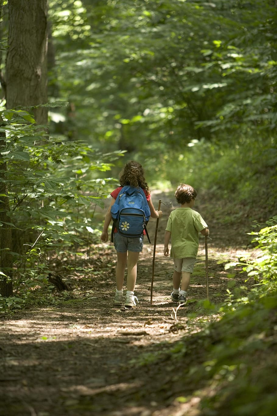 girl and boy walking in forest during daytime, hiking, kids, children