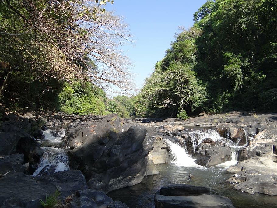 river, mandovi, river bed, water, flowing, rapids, mountainous HD wallpaper