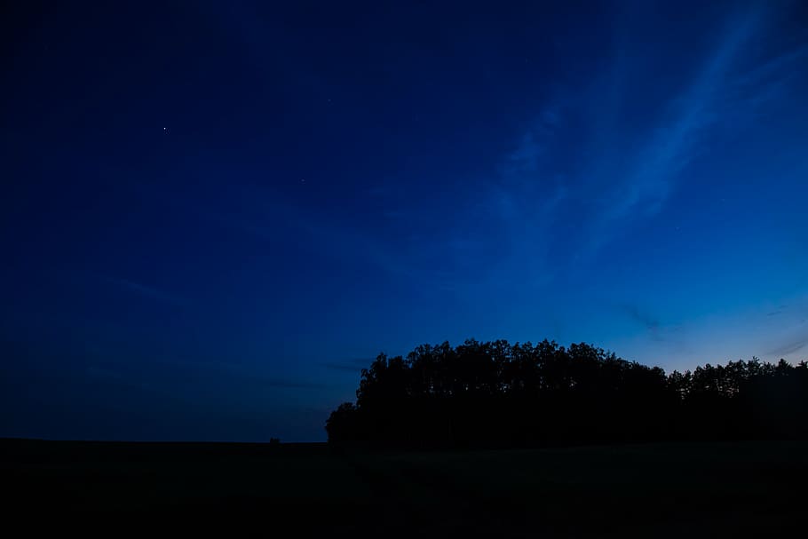 silhouette of trees during daytime, night, sky, nature, clouds HD wallpaper