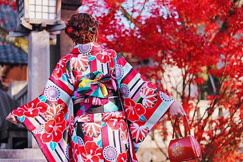 woman wearing multicolored kimono holding red leather handbag near red leaf tree during daytime HD wallpaper