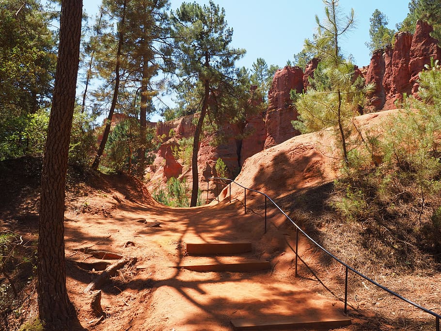 nature trail, ocher trail, away, sand, roussillon, pine forest, HD wallpaper
