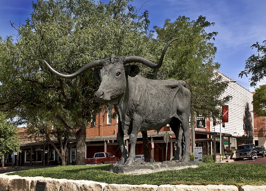 El Capitan cattle drive monument in Dodge City, Kansas, bull, HD wallpaper