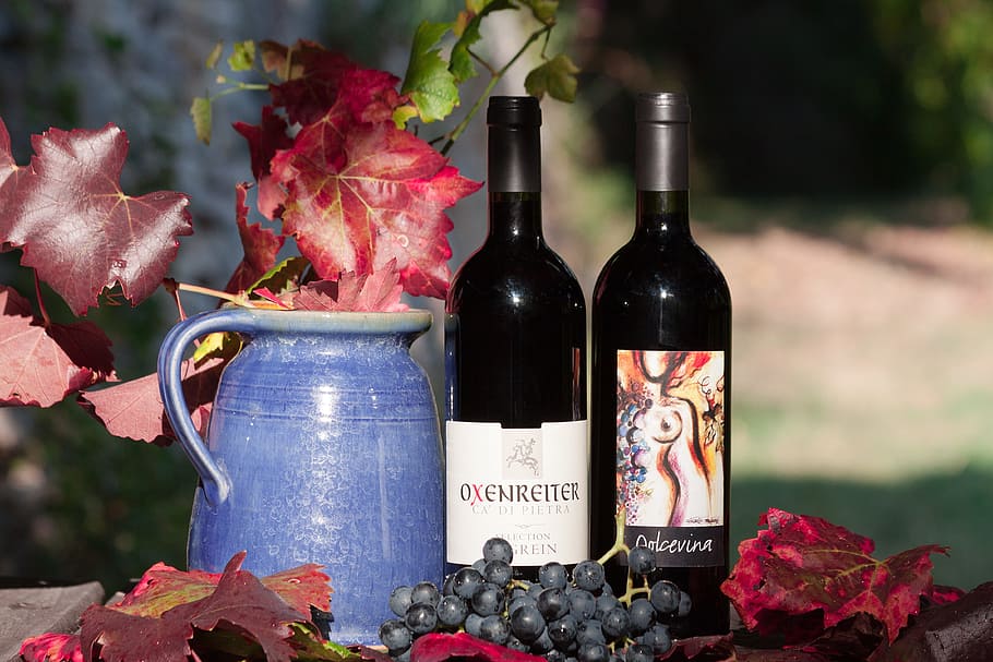 pitcher beside two bottles, wine, label, grape, leaf, wine harvest HD wallpaper