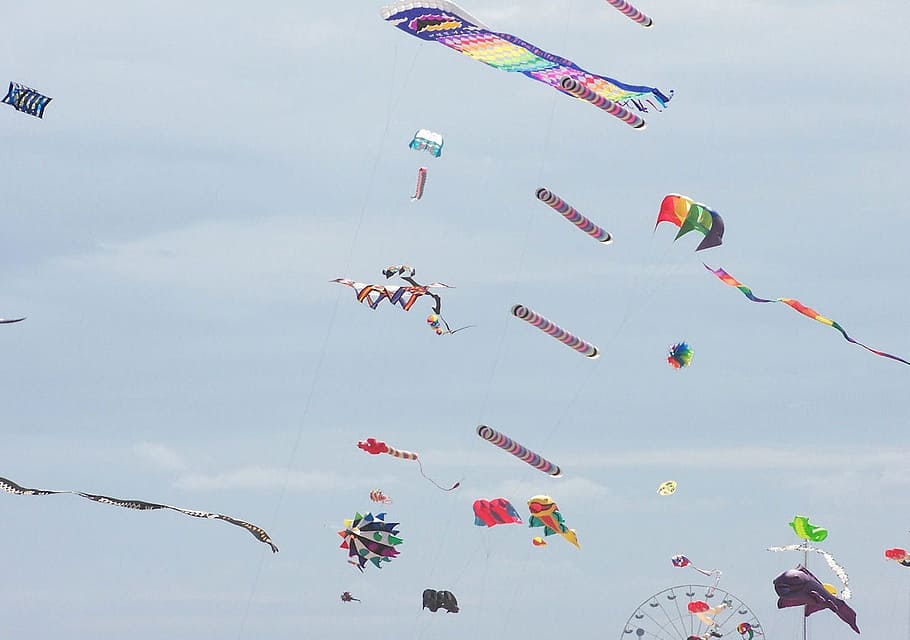 Kites, Colorful, Fun, Flying, Wind, outdoor, blue, outdoors HD wallpaper