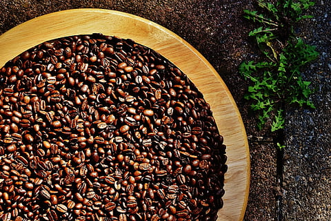 coffee beans on bucket, cafe, roasted, caffeine, brown, aroma HD wallpaper