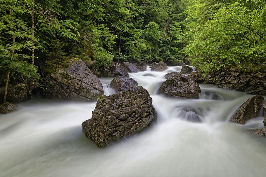 Forest, River, Nature, waterfall, long exposure, motion, tree HD wallpaper