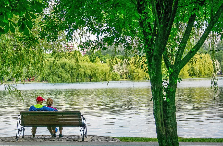 water, lake, nature, tree, river, sitting, plant, seat, one person HD wallpaper