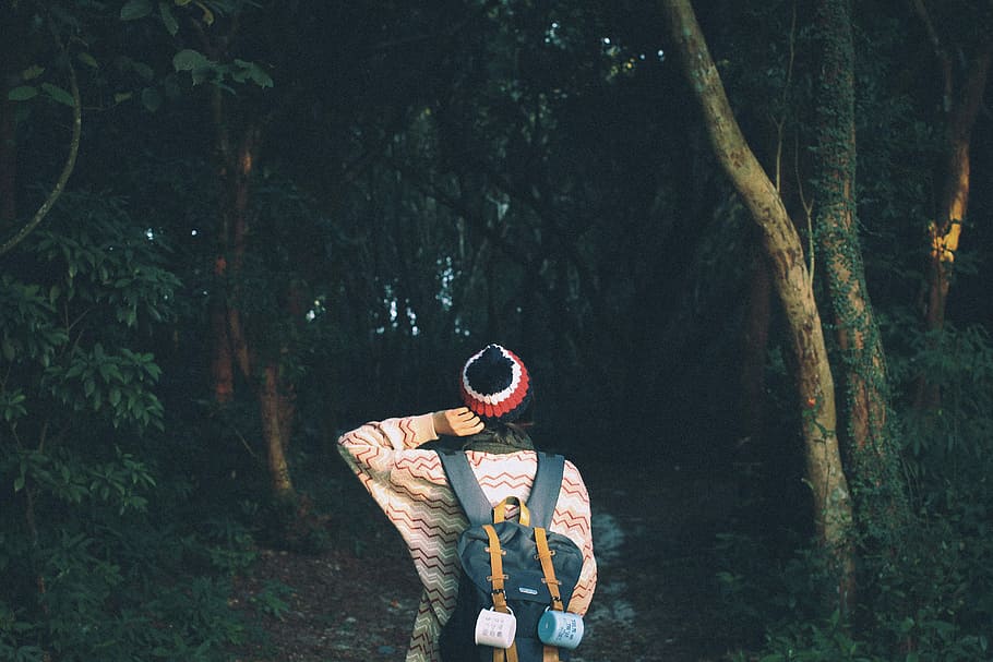 photo of woman standing front of trees, person carrying backpack going towards forest trees HD wallpaper