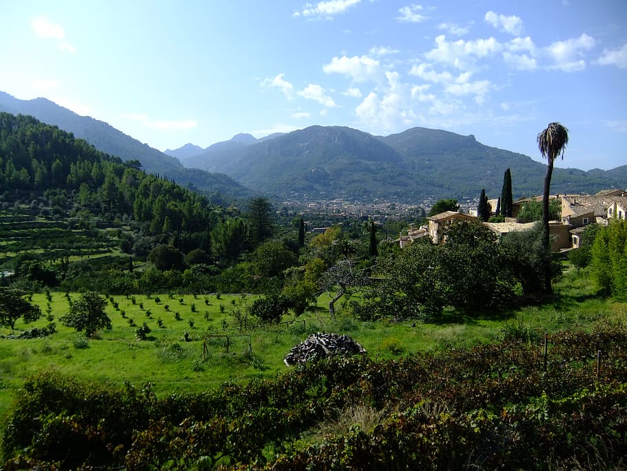 tramuntana, soller, mallorca, mountain, sky, plant, scenics - nature HD wallpaper