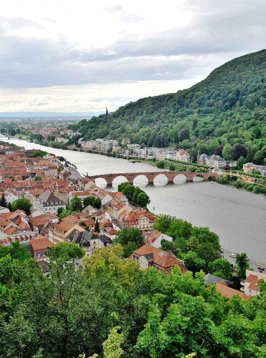 heidelberg, bridge, germany, river, hill, city, europe, built structure