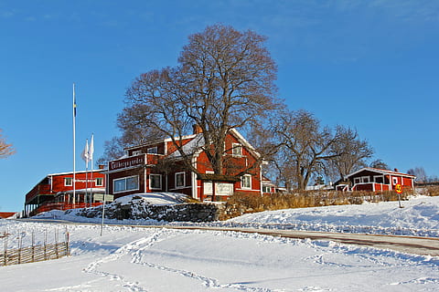bare tree beside house during daytime, snow, winter, cold, beautiful HD wallpaper