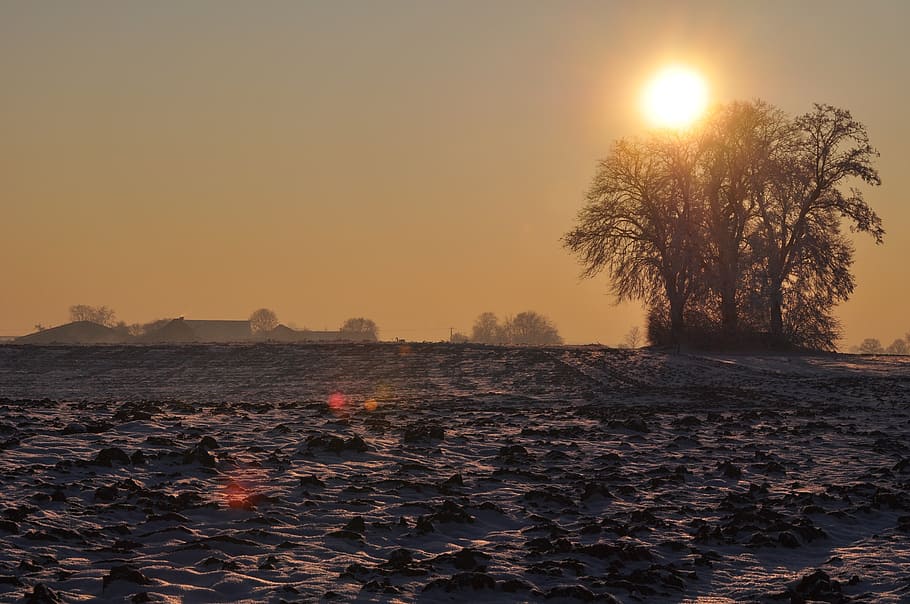 winter, snow, landscape, sunset, winter landscape, soil, white HD wallpaper