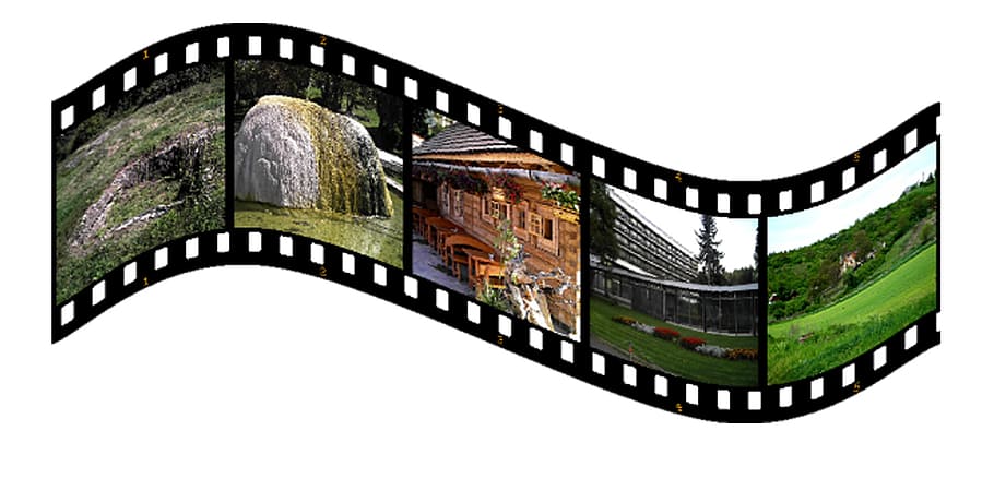 trees and grasses, kleinbild film, photo film, filmstrip, architecture, HD wallpaper
