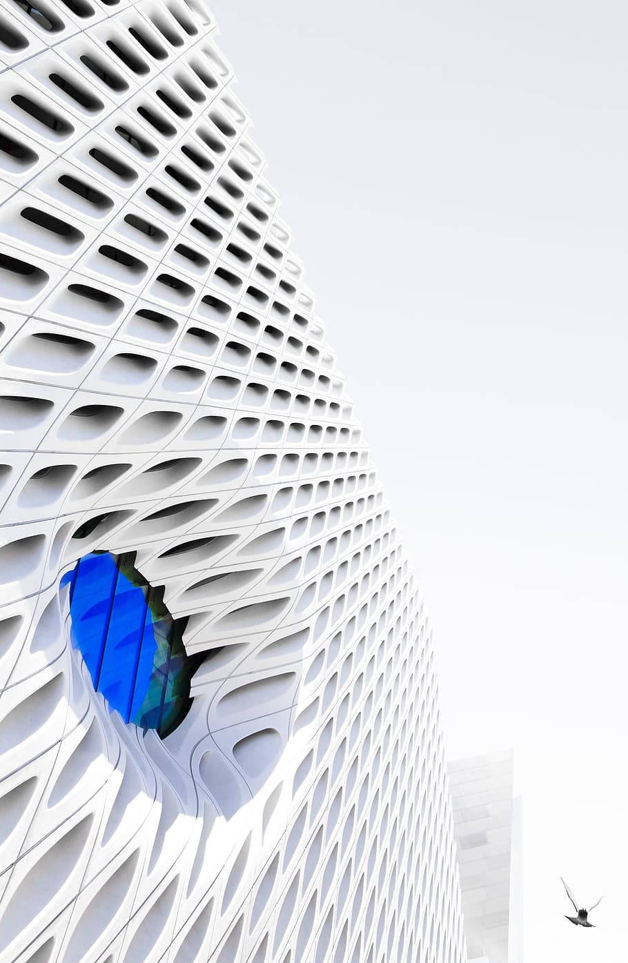 architecture, building, infrastructure, bird, built structure HD wallpaper