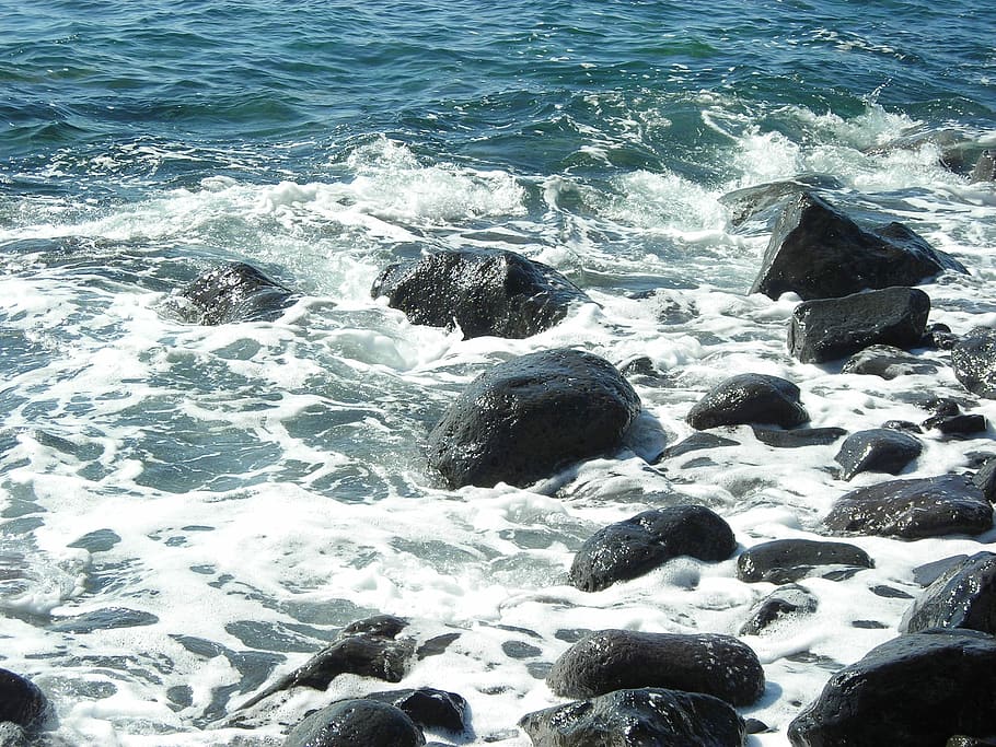 Wave, Stones, Surf, Spray, Rock, Sea, coast, madeira, foam HD wallpaper