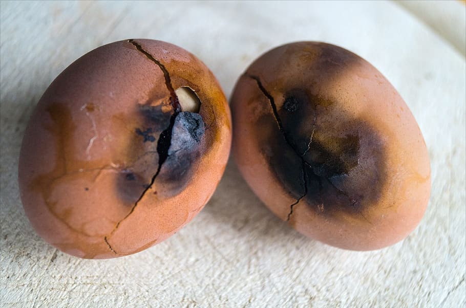 egg, burnt, clumsy, forgetful, eat, error, eggshell, yolk, expired HD wallpaper