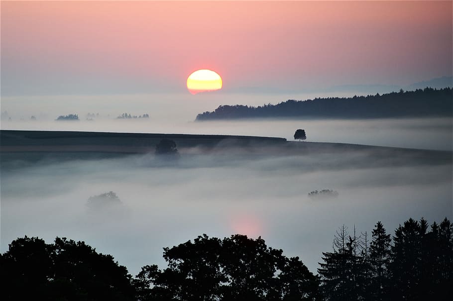 Fog, Landscape, Dusk, Mood, sunset, nature, sea, silhouette HD wallpaper