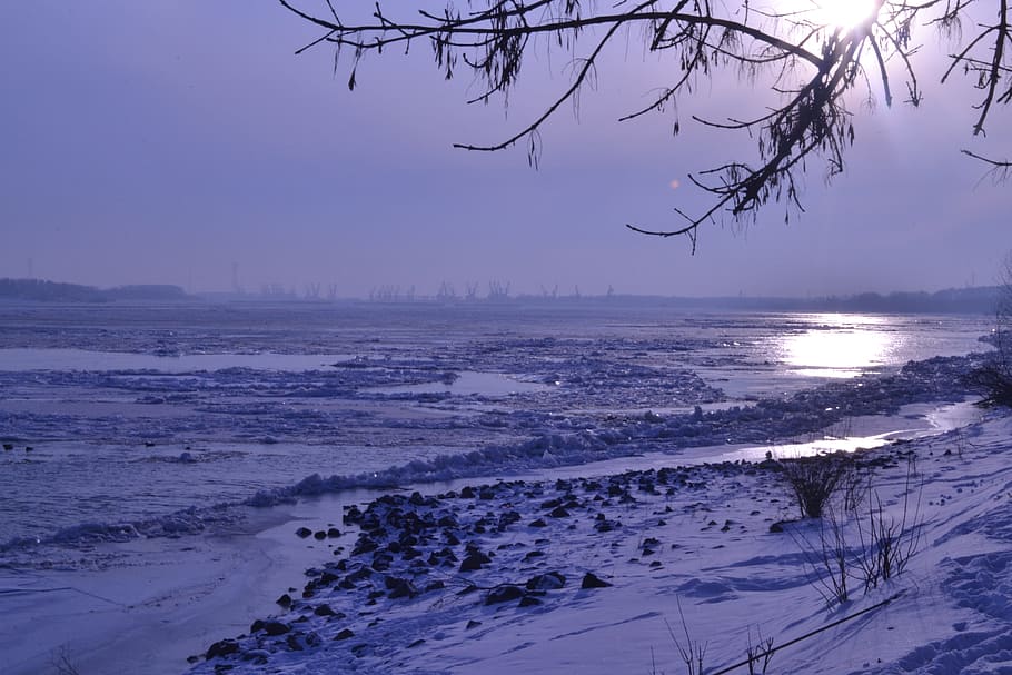 sun, the danube, winter, tree, beauty in nature, water, tranquility HD wallpaper