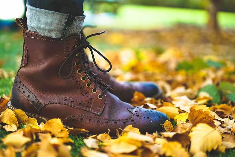 close up photo of person wearing brown leather boots, person wearing brown leather short-wing boots on dried leaves HD wallpaper