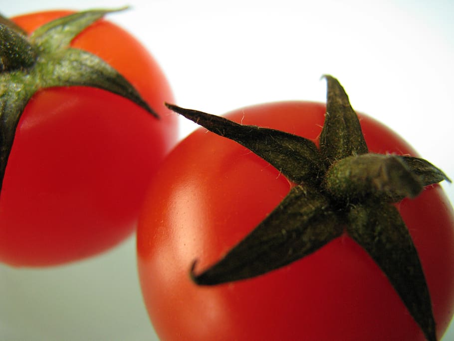 tomato, vegetable, food, red, close-up, indoors, freshness HD wallpaper