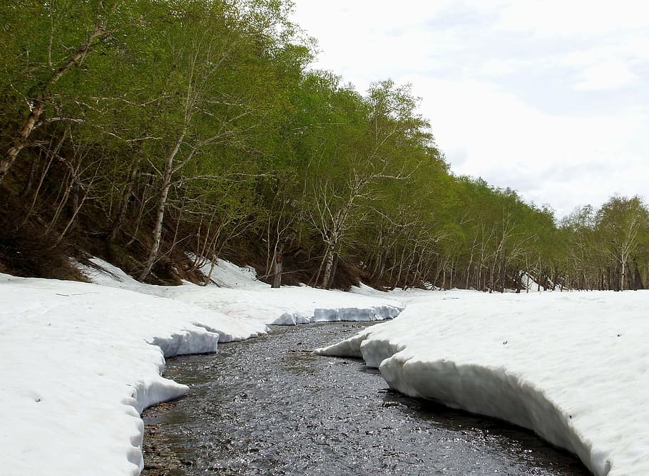 spring, winter, summer, greens, meltwater, creek, snow, snowdrifts HD wallpaper