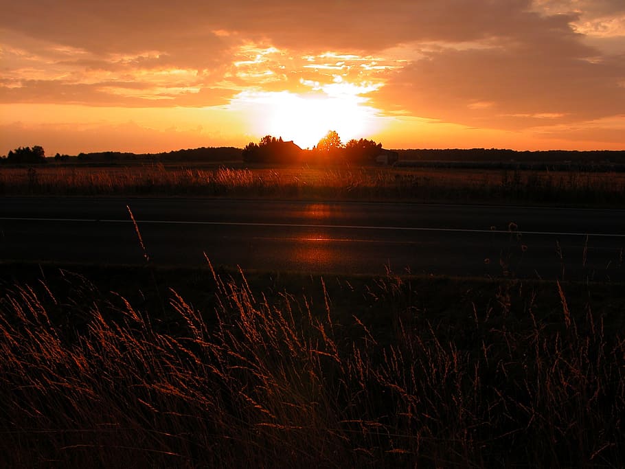 edemissen, sun, weather, clouds, sky, agriculture, outdoor HD wallpaper