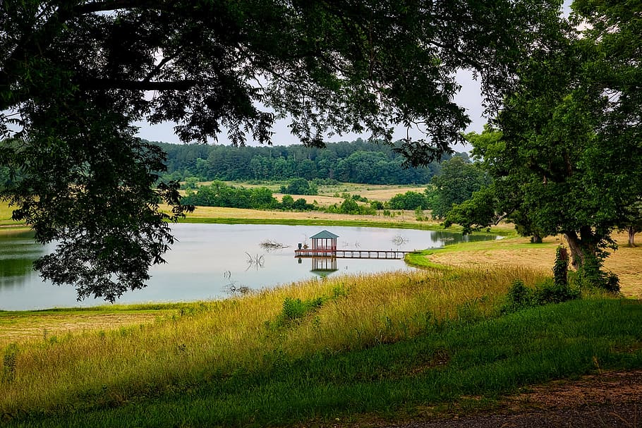 thornhill plantation, alabama, landscape, scenic, pond, lake, HD wallpaper