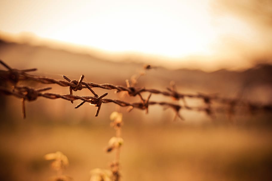 Barbed Wires, property, stop, strange, fence, nature, no People