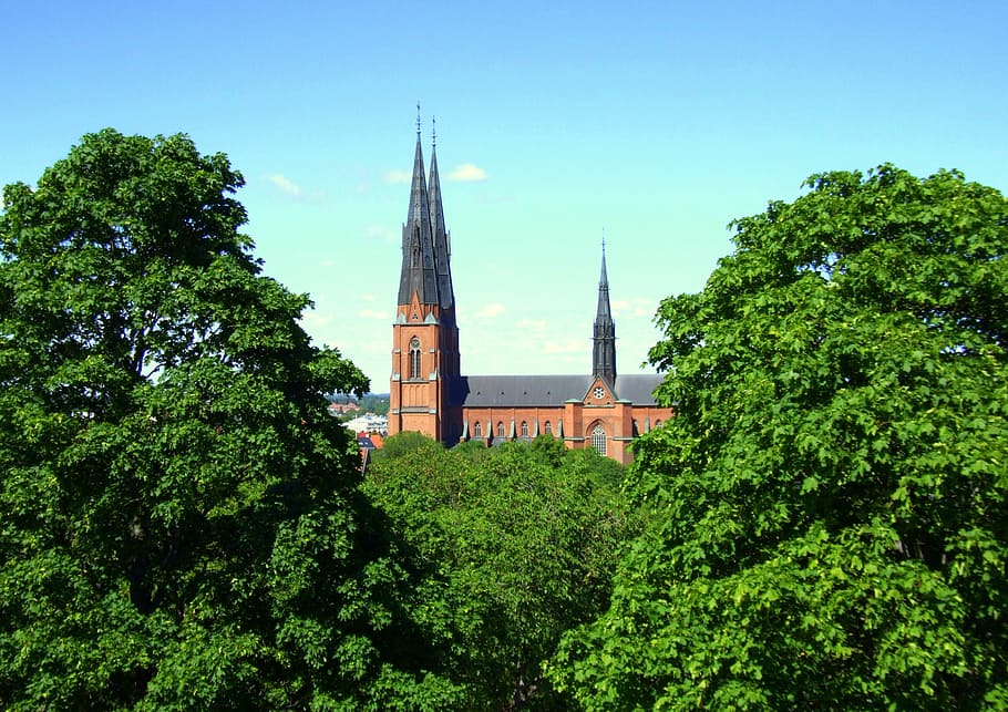Uppsala, Sweden, Cathedral, Trees, church, history, green color HD wallpaper