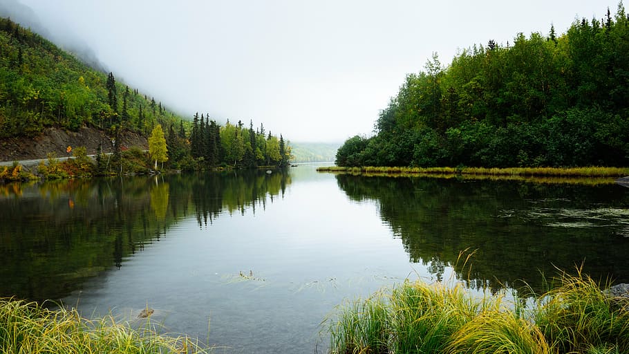 green lake in middle of green forest, water, trees, wilderness HD wallpaper
