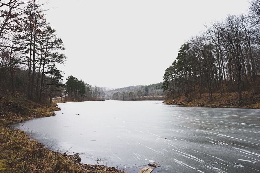 river under cloudy sky during daytime, river beside forest, body of water HD wallpaper