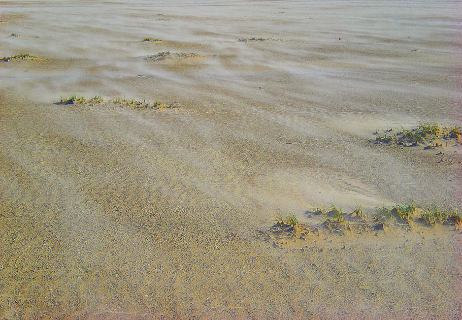 sand, wind, beach, coast, dunes, recovery, wavy line, land HD wallpaper