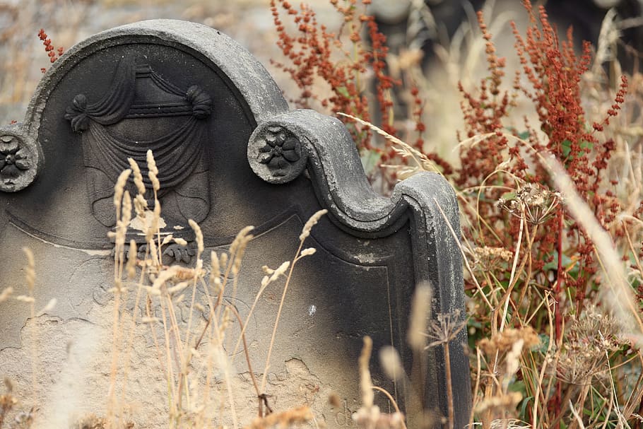 gray and black tombstone, ancient, burial, cemetery, dead, death HD wallpaper